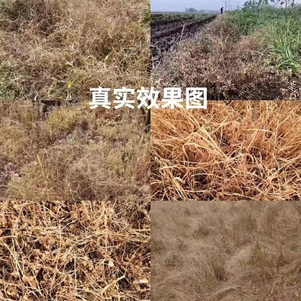 農藥購買平臺_農藥購買平臺敵敵畏_中國農資農藥批發網