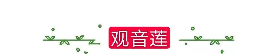 耐高溫又耐寒的多肉_耐高溫耐寒的多肉植物有哪些_超耐寒多肉