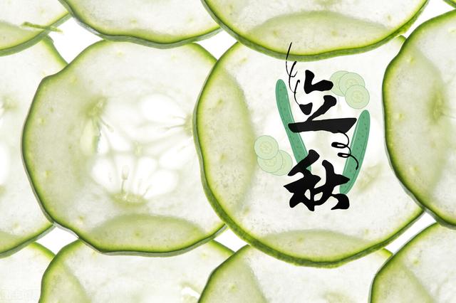 雨水蔬菜種植注意事項_雨水蔬菜種植方法_雨水種植什么蔬菜