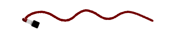 常見的室內(nèi)綠植有哪些_常見室內(nèi)綠植有哪些種類_常見室內(nèi)綠植有什么