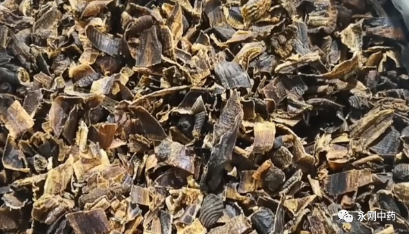 藥材地龍的功效與作用_地龍藥材_藥材地龍是什么