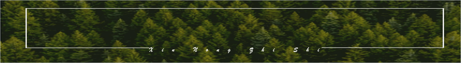 油菜種植時間和方法_油菜種植的方法與時間_油菜種植方法和注意事項