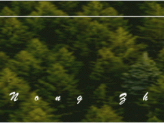 一年三茬高效種植模式：春玉米、早熟白菜、菠菜（油菜）