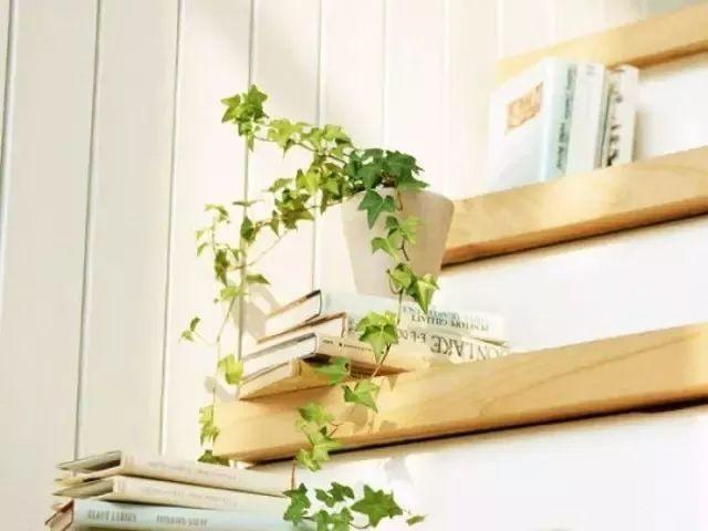 哪些綠植可以凈化空氣_凈化空氣綠植可以放臥室嗎_凈化空氣綠植可以曬太陽嗎