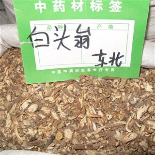 藥材黃柏的功效與作用_藥材功效黃柏作用與主治_黃柏的功效