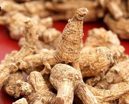 藥材白起有什么作用_白起藥材的作用_白起藥材