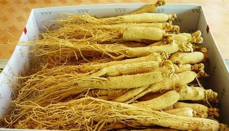 白起藥材_藥材白起有什么作用_白起藥材的作用