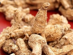 西洋參白術(shù)的功效與作用(黃芪白術(shù)西洋參的功效與作用)