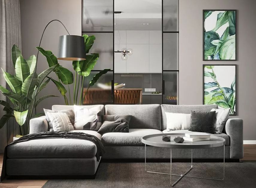 養綠植適合家里養嗎_家里綠植應該養什么樹_家里適合養的綠植