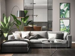 別瞎買綠植了，家里適合養這八種花！