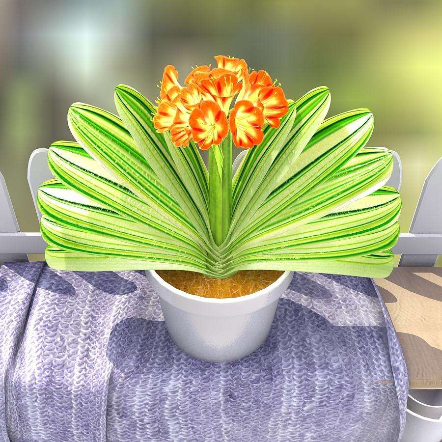 適合室內種植的大型綠植_室內種植大型綠植適合什么花盆_室內種植大型綠植適合什么土壤