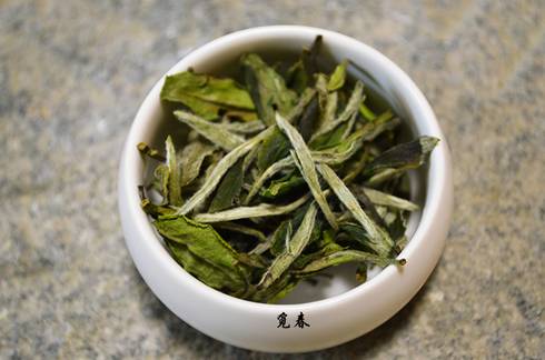 白牡丹藥用價值_中藥白牡丹的別名_白牡丹藥材