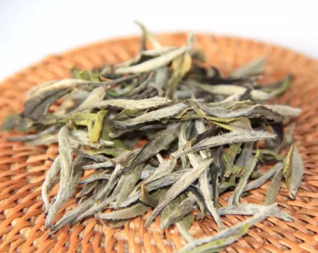 白牡丹藥用價值_中藥白牡丹的別名_白牡丹藥材