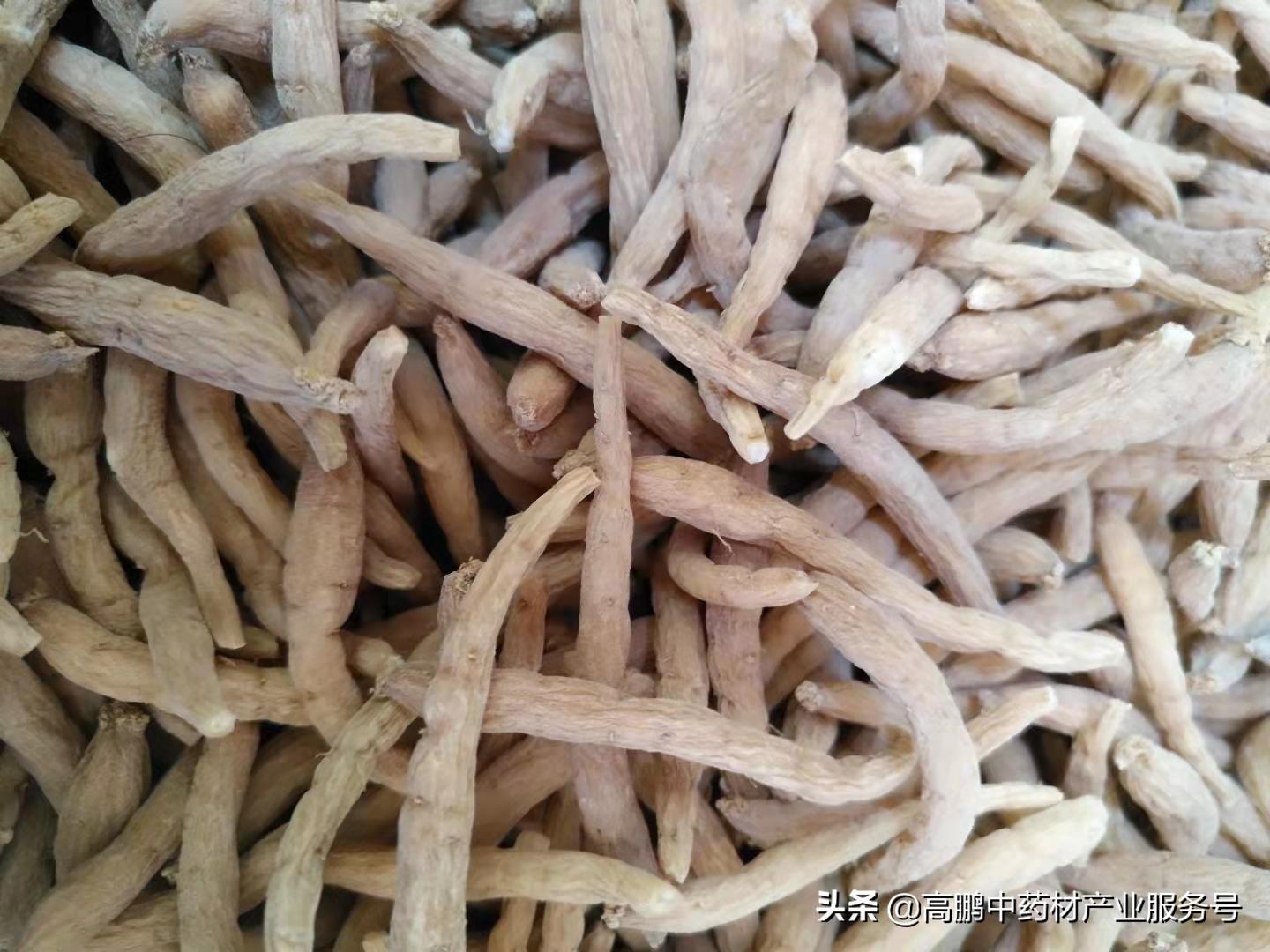 種植什么藥材一年一收_藥材種植收入千萬的有哪些_藥材種植收益一覽表