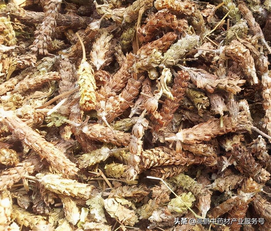 種植什么藥材一年一收_藥材種植收益一覽表_藥材種植收入千萬的有哪些