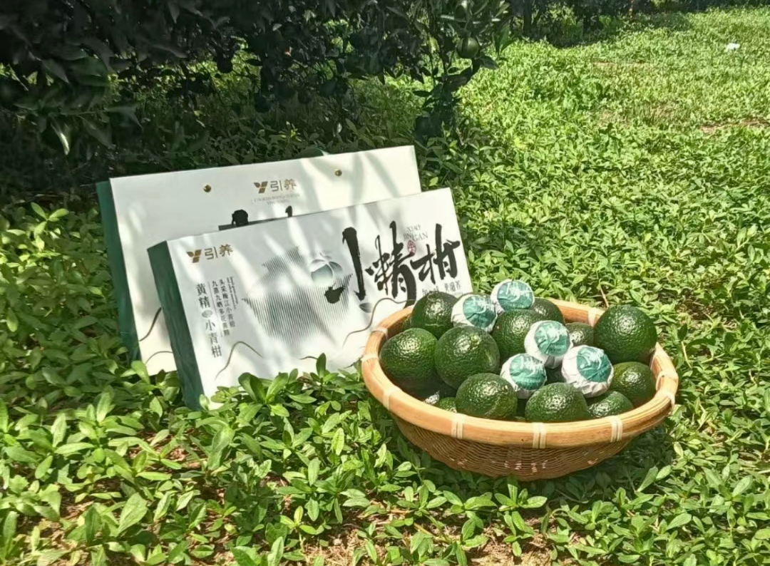 黃精藥材作用_黃精藥材作用_黃精藥材作用