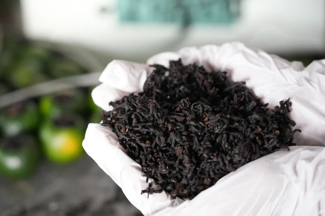 黃精藥材作用_黃精藥材作用_黃精藥材作用