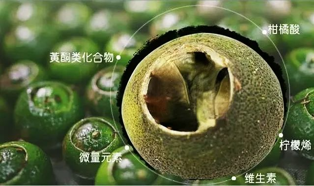 黃精藥材作用_黃精藥材作用_黃精藥材作用