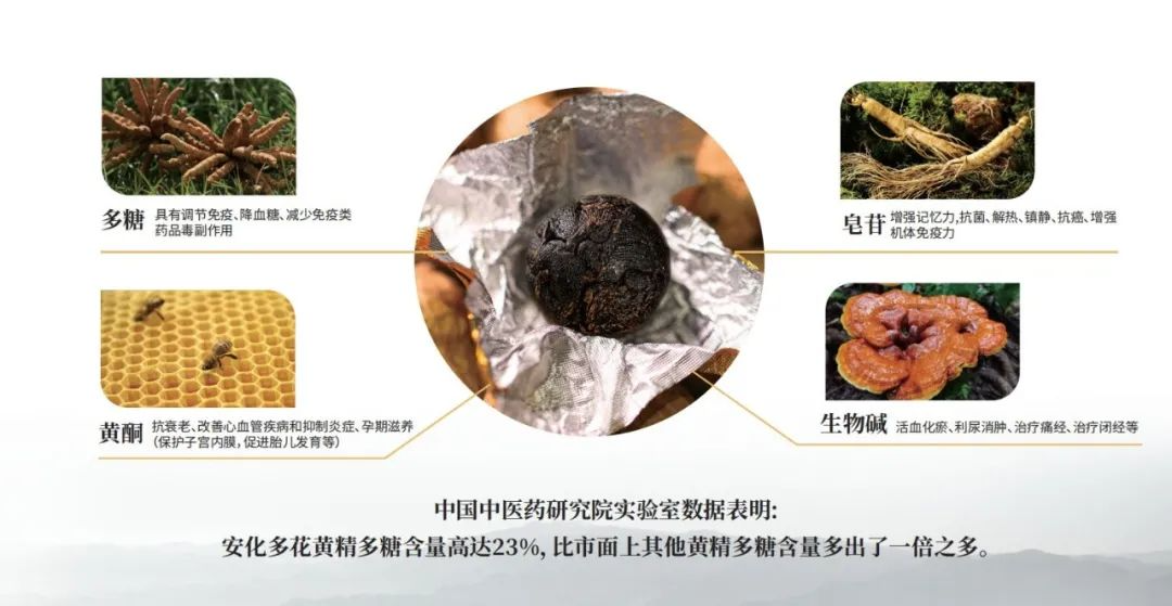 黃精藥材作用_黃精藥材作用_黃精藥材作用