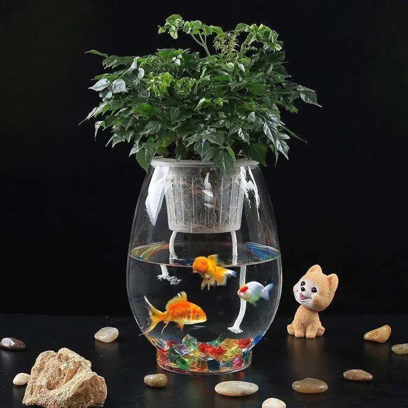 客廳能放綠植嗎_可以放客廳的綠植_客廳綠植擺放禁忌