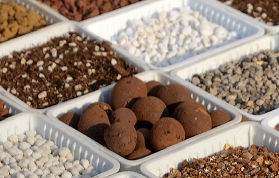多肉純麥飯石種_麥飯石種多肉的優缺點_種多肉用麥飯石有什么用