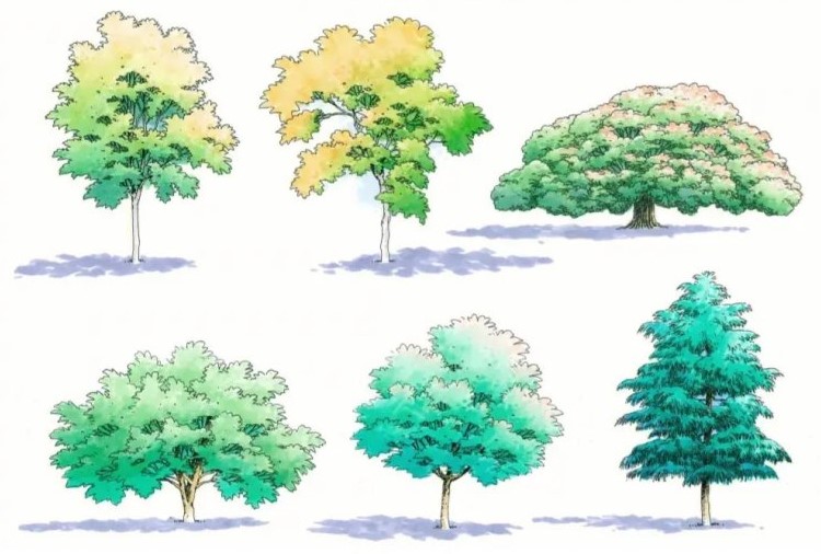 果樹北方種植適合什么土壤_果樹北方種植適合什么季節(jié)_適合北方種植的果樹