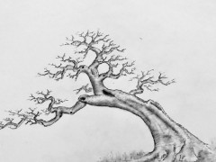 北方庭院十大果樹排名