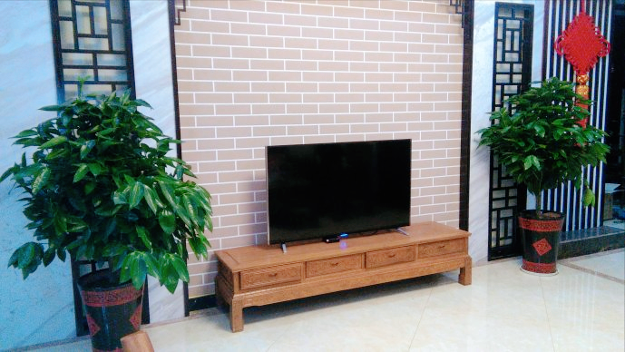 室內養大型綠植好有什么好處_室內大型綠植什么樣的好養活_室內好養的大型綠植有哪些