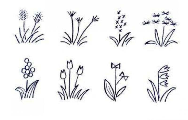 適應(yīng)南方果樹(shù)苗_果樹(shù)南方種植適合什么土壤_南方適合種植什么果樹(shù)