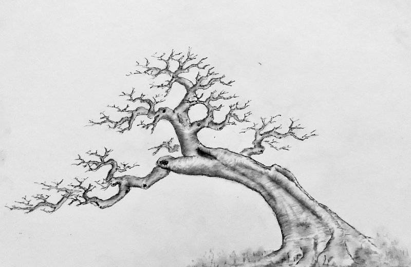 果樹(shù)南方種植適合什么土壤_南方適合種植什么果樹(shù)_適應(yīng)南方果樹(shù)苗