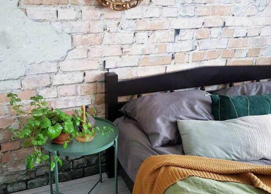 綠植可以放在床頭嗎_床頭能放植物綠蘿嗎_床頭擺放綠植好不好