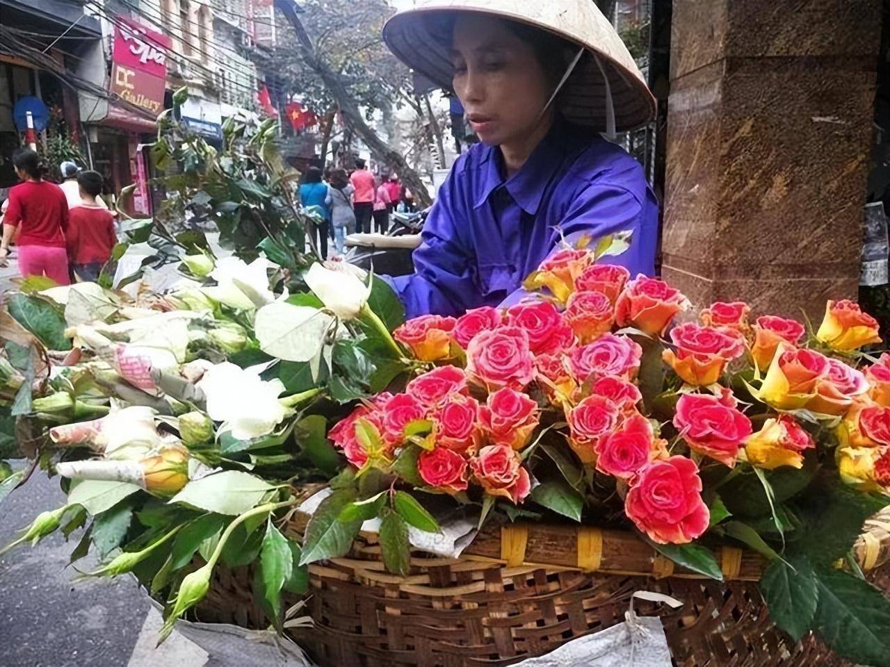 藥錦多肉還能養活嗎_常見藥錦多肉_什么是藥錦多肉