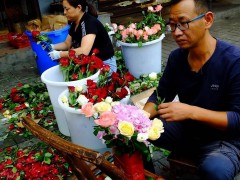 5類花已進“黑名單”，越養越“不吉利”，見到了盡量不要買