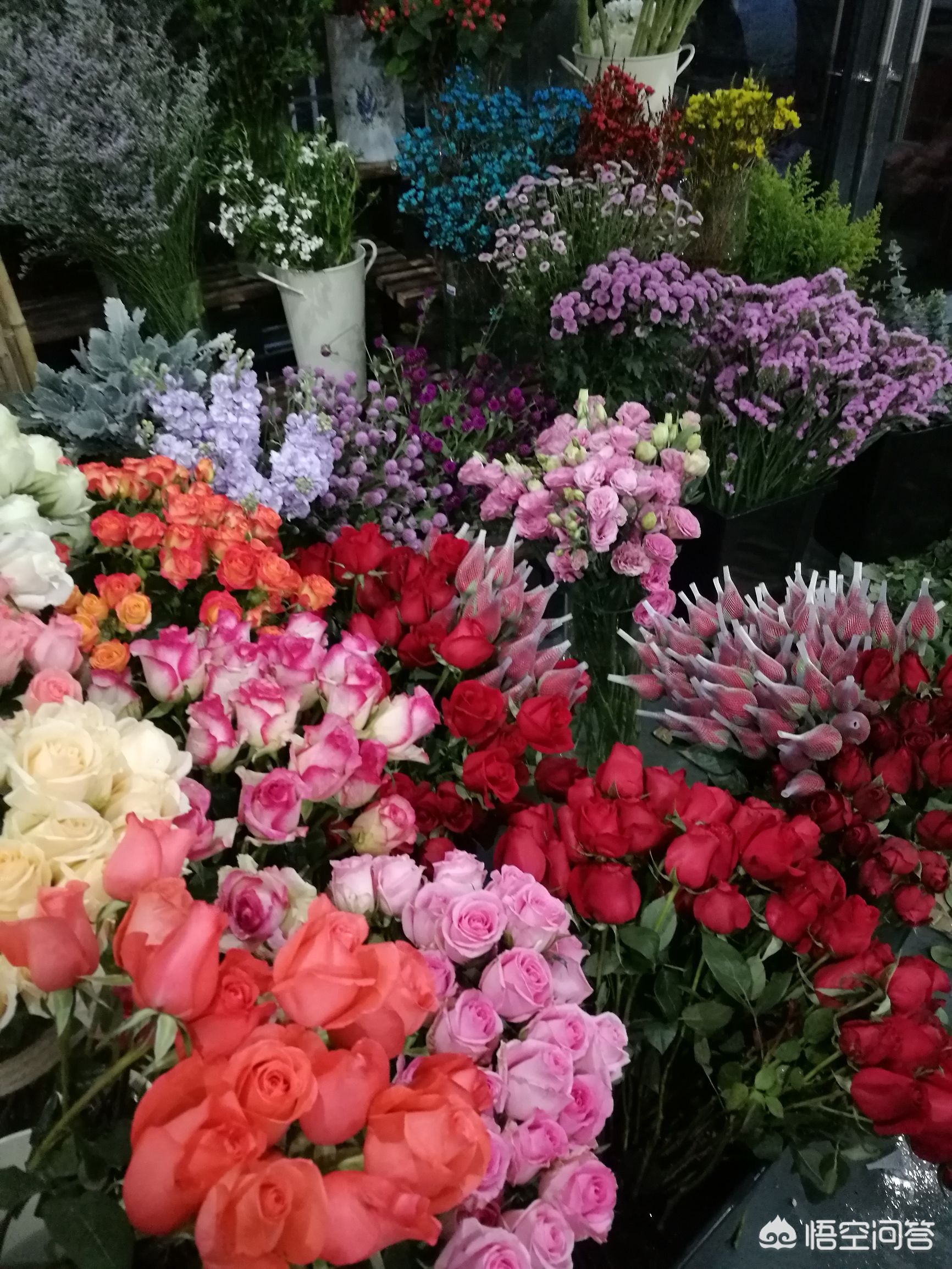 花卉植物批發(fā)_花卉綠植批發(fā)市場多少錢_批發(fā)綠植花卉的都是到哪里拿的貨