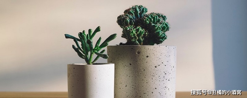 哪種多肉是招財(cái)?shù)腳招財(cái)多肉怎么繁殖_多肉招財(cái)?shù)挠心男?/></p>
<p>家里有錢串子風(fēng)水好嗎</p>
<p>錢串子花有著美好的寓意，給人以財(cái)源滾滾的美好憧憬，而且其外形美觀，觀賞價(jià)值非常高。尤其是春節(jié)時(shí)，既可以在家中擺放，也可以作為禮物贈(zèng)送給親朋好友們，有著招財(cái)納福的風(fēng)水意義。</p>
<p>其實(shí)我們生活中有不少能夠帶來美好意義的家居風(fēng)水植物花卉，像發(fā)財(cái)樹、聚寶盆等品種繁多的多肉植物中，也有不少寓意吉祥、能夠招來好運(yùn)的植物，錢串子就是其中之一。如今已經(jīng)成為室內(nèi)的一種熱門植物。</p>
<p>錢串子放在哪個(gè)位置好</p>
<p>錢串子喜愛陽(yáng)光，對(duì)光照要求比較高，如果長(zhǎng)時(shí)間放在蔭蔽的室內(nèi)環(huán)境中，則不太適應(yīng)它的生長(zhǎng)，而在陽(yáng)光下養(yǎng)殖它的葉子邊緣會(huì)顯現(xiàn)出十分明顯的紅色，增加觀賞性，特別是臨近春節(jié)，晝夜溫差大，葉緣的紅色更明顯，加上類似錢串的形狀，看上去十分討喜。所以最好是放在陽(yáng)光充足的能照射到的地方。；例如陽(yáng)臺(tái)，窗臺(tái)，走廊等地方。</p>
<p>錢串是會(huì)開花的植物，它的花期都是在每年的4月份——5月份之間。錢串的花朵十分的細(xì)小，顏色多是白色或者檸檬黃色，有著粉紅色的花蕊。看起來密密麻麻，很多人好奇錢串子開花什么預(yù)兆？其實(shí)這預(yù)示著生錢，有著財(cái)源廣進(jìn)的美好寓意。</p></div>
<div   id="x971d799"   class="tags">
<i>標(biāo)簽:</i>
<span><a href="http://www.xmghkq.cn/news/search.php?kw=%E5%A4%9A%E8%82%89%E6%A4%8D%E7%89%A9" target="_blank" >多肉植物</a></span>
<span><a href="http://www.xmghkq.cn/news/search.php?kw=%E9%92%B1%E4%B8%B2%E5%AD%90" target="_blank" >錢串子</a></span>
<span><a href="http://www.xmghkq.cn/news/search.php?kw=%E6%8B%9B%E8%B4%A2%E6%A4%8D%E7%89%A9" target="_blank" >招財(cái)植物</a></span>
<span><a href="http://www.xmghkq.cn/news/search.php?kw=%E5%AE%B6%E5%B1%85%E9%A3%8E%E6%B0%B4%E6%A4%8D%E7%89%A9" target="_blank" >家居風(fēng)水植物</a></span>
<span><a href="http://www.xmghkq.cn/news/search.php?kw=%E6%98%A5%E8%8A%82%E8%8A%B1%E5%8D%89" target="_blank" >春節(jié)花卉</a></span>
</div>
        </div>
<div   id="x971d799"   class="tool">
<i class="like" onclick="Dlike(21, 287, 0);">點(diǎn)贊 <b id="like-21-287-0">0</b></i><i class="hate" onclick="Dhate(21, 287, 0);">反對(duì) <b id="hate-21-287-0">0</b></i><i class="report" onclick="Dreport(21, 287, 0);">舉報(bào) <b>0</b></i>
<i class="favorite" onclick="Dfavor(21, 287);">收藏 <b>0</b></i>
<a href="http://www.xmghkq.cn/member/award.php?mid=21&itemid=287" target="_blank"><i class="award">打賞 <b>0</b></i></a><a href="http://www.xmghkq.cn/comment/index.php?mid=21&itemid=287" target="_blank"><i class="comment">評(píng)論 <b>0</b></i></a><a href="http://www.xmghkq.cn/api/share.php?mid=21&itemid=287" target="_blank"><i class="share">分享 <b>54</b></i></a>
</div>
          <div   id="x971d799"   class="state">
<dt>免責(zé)聲明</dt>
    <p>本網(wǎng)頁(yè)所展示的有關(guān)【錢串子風(fēng)水?dāng)[放禁忌 放哪里招財(cái)】的信息/圖片/參數(shù)等由的會(huì)員【
<a href="" target="_blank" title=""></a>
】提供，由中國(guó)綠化苗木網(wǎng)會(huì)員【
<a href="" target="_blank" title=""></a>
】自行對(duì)信息/圖片/參數(shù)等的真實(shí)性、準(zhǔn)確性和合法性負(fù)責(zé)，<b>本平臺(tái)（本網(wǎng)站）僅提供展示服務(wù)，請(qǐng)謹(jǐn)慎交易，因交易而產(chǎn)生的法律關(guān)系及法律糾紛由您自行協(xié)商解決，本平臺(tái)（本網(wǎng)站）對(duì)此不承擔(dān)任何責(zé)任。</b>您在本網(wǎng)頁(yè)可以瀏覽【錢串子風(fēng)水?dāng)[放禁忌 放哪里招財(cái)】有關(guān)的信息/圖片/價(jià)格等及提供
            【錢串子風(fēng)水?dāng)[放禁忌 放哪里招財(cái)】的商家公司簡(jiǎn)介、聯(lián)系方式等信息。</p>
            <p>在您的合法權(quán)益受到侵害時(shí)，請(qǐng)您致電15932669617，我們將竭誠(chéng)為您服務(wù)，感謝您對(duì)中國(guó)綠化苗木網(wǎng)的關(guān)注與支持！</p>
</div>
        
        <div   id="x971d799"   class="exAd"></div>
<div   id="x971d799"   class="exRelated"><h2>相關(guān)苗木資訊</h2>
<ul><li><a href="http://www.xmghkq.cn/news/show-664.html" title="多肉植物養(yǎng)護(hù)系列一一藍(lán)石蓮的養(yǎng)護(hù)技巧">多肉植物養(yǎng)護(hù)系列一一藍(lán)石蓮的養(yǎng)護(hù)技巧</a></li>
<li><a href="http://www.xmghkq.cn/news/show-661.html" title="養(yǎng)多肉不懂這3個(gè)光照技巧，白搭！">養(yǎng)多肉不懂這3個(gè)光照技巧，白搭！</a></li>
<li><a href="http://www.xmghkq.cn/news/show-658.html" title="多肉葉插，有2個(gè)技巧，繁殖一大片，又萌又壯觀，陽(yáng)臺(tái)放滿了！">多肉葉插，有2個(gè)技巧，繁殖一大片，又萌又壯觀，</a></li>
<li><a href="http://www.xmghkq.cn/news/show-645.html" title="怎么判斷多肉晾根已經(jīng)好了，可以移盆了呢？">怎么判斷多肉晾根已經(jīng)好了，可以移盆了呢？</a></li>
<li><a href="http://www.xmghkq.cn/news/show-644.html" title="天使之淚多肉怎么養(yǎng)出狀態(tài) 多肉植物天使之淚的養(yǎng)護(hù)技巧">天使之淚多肉怎么養(yǎng)出狀態(tài) 多肉植物天使之淚的養(yǎng)</a></li>
<li><a href="http://www.xmghkq.cn/news/show-640.html" title="這些多肉不僅寓意好，而且小巧精致，養(yǎng)在客廳極易吸引眼球，提升檔次">這些多肉不僅寓意好，而且小巧精致，養(yǎng)在客廳極易</a></li>
<li><a href="http://www.xmghkq.cn/news/show-637.html" title="這“3種”漂亮多肉，生崽多繁殖能力強(qiáng)，太好養(yǎng)了，一株變100株">這“3種”漂亮多肉，生崽多繁殖能力強(qiáng)，太好養(yǎng)了</a></li>
<li><a href="http://www.xmghkq.cn/news/show-632.html" title="?多肉唐印，適合新手入手，沙土栽種，生長(zhǎng)速度飛快！">?多肉唐印，適合新手入手，沙土栽種，生長(zhǎng)速度飛</a></li>
<li><a href="http://www.xmghkq.cn/news/show-628.html" title="多肉黑天鵝和白天鵝，一個(gè)熱烈好養(yǎng)，一個(gè)清冷淡雅，價(jià)格差別很大">多肉黑天鵝和白天鵝，一個(gè)熱烈好養(yǎng)，一個(gè)清冷淡雅</a></li>
<li><a href="http://www.xmghkq.cn/news/show-621.html" title="紅色系多肉來襲，5種代表性多肉狀態(tài)全開，美到震撼">紅色系多肉來襲，5種代表性多肉狀態(tài)全開，美到震</a></li>
<li><a href="http://www.xmghkq.cn/news/show-618.html" title="怎么將多肉盆栽養(yǎng)成老樁？多肉老樁美圖欣賞">怎么將多肉盆栽養(yǎng)成老樁？多肉老樁美圖欣賞</a></li>
<li><a href="http://www.xmghkq.cn/news/show-602.html" title="10月前養(yǎng)廣寒宮，滿足4個(gè)條件，躲過“秋老虎”， 葉子又肥又仙">10月前養(yǎng)廣寒宮，滿足4個(gè)條件，躲過“秋老虎”， </a></li>
<li><a href="http://www.xmghkq.cn/news/show-591.html" title="多肉的“生存狠活”有多牛？能扛住荒漠旱季，背后藏著生態(tài)大責(zé)任">多肉的“生存狠活”有多牛？能扛住荒漠旱季，背后</a></li>
<li><a href="http://www.xmghkq.cn/news/show-587.html" title="夏天室內(nèi)適合養(yǎng)多肉多漿植物">夏天室內(nèi)適合養(yǎng)多肉多漿植物</a></li>
<li><a href="http://www.xmghkq.cn/news/show-584.html" title="多肉植物一次澆多少水 幾天澆一次水合適">多肉植物一次澆多少水 幾天澆一次水合適</a></li>
<li><a href="http://www.xmghkq.cn/news/show-583.html" title="養(yǎng)多肉6年，最容易出“狀態(tài)”的6個(gè)品種，365天都是美美噠">養(yǎng)多肉6年，最容易出“狀態(tài)”的6個(gè)品種，365天都</a></li>
</ul></div>
      
    </div>
<div   id="x971d799"   class="news-right">
<div   id="x971d799"   class="past-box">
<dt><span> <a href="http://www.xmghkq.cn/news/">更多</a></span>推薦苗木資訊</dt>
<ul>
 <li>
                                        <a href="http://www.xmghkq.cn/news/show-324.html">
                                            <img src="http://www.xmghkq.cn/file/upload/202501/15/1736875102520_lit.jpg" alt="花生與芝麻間作效益高，如何間作？種植方法教會(huì)你">
                                            <p>花生與芝麻間作效益高，如何間作？種植方法教會(huì)你</p>
                                        </a>
                          </li><li>
                                        <a href="http://www.xmghkq.cn/news/show-323.html">
                                            <img src="http://www.xmghkq.cn/file/upload/202501/14/1736788848669_lit.jpg" alt="西紅柿種植時(shí)間和方法 西紅柿什么時(shí)候種植">
                                            <p>西紅柿種植時(shí)間和方法 西紅柿什么時(shí)候種植</p>
                                        </a>
                          </li><li>
                                        <a href="http://www.xmghkq.cn/news/show-322.html">
                                            <img src="http://www.xmghkq.cn/file/upload/202501/13/1736704497356_lit.jpg" alt="一種高效殺蟲劑，不僅能殺幼蟲，還能殺卵，持效期長(zhǎng)達(dá)15天">
                                            <p>一種高效殺蟲劑，不僅能殺幼蟲，還能殺卵，持效期長(zhǎng)達(dá)15天</p>
                                        </a>
                          </li><li>
                                        <a href="http://www.xmghkq.cn/news/show-321.html">
                                            <img src="http://www.xmghkq.cn/file/upload/202501/12/1736617376641_lit.jpg" alt="手把手教你在家種草莓，8天發(fā)芽，3個(gè)月花多數(shù)不清，草莓摘">
                                            <p>手把手教你在家種草莓，8天發(fā)芽，3個(gè)月花多數(shù)不清，草莓摘</p>
                                        </a>
                          </li> </ul>
 </div>
 
 <div   id="x971d799"   class="box">
<dt><span> <a href="http://www.xmghkq.cn/news/">更多</a></span>最新苗木資訊</dt>
<ul class="rank">
 <li id="x971d799"    class="text-overflow">
 <a href="http://www.xmghkq.cn/news/show-666.html">正確使用農(nóng)藥注意要點(diǎn)</a>
</li><li id="x971d799"    class="text-overflow">
 <a href="http://www.xmghkq.cn/news/show-665.html">車?yán)遄庸四芊N出果實(shí)嗎？</a>
</li><li id="x971d799"    class="text-overflow">
 <a href="http://www.xmghkq.cn/news/show-664.html">多肉植物養(yǎng)護(hù)系列一一藍(lán)石蓮的養(yǎng)護(hù)技巧</a>
</li><li id="x971d799"    class="text-overflow">
 <a href="http://www.xmghkq.cn/news/show-663.html">冬季室內(nèi)放什么植物最好？</a>
</li><li id="x971d799"    class="text-overflow">
 <a href="http://www.xmghkq.cn/news/show-662.html">謠言粉碎機(jī)！這些綠植真的能凈化家中甲醛嗎？</a>
</li><li id="x971d799"    class="text-overflow">
 <a href="http://www.xmghkq.cn/news/show-661.html">養(yǎng)多肉不懂這3個(gè)光照技巧，白搭！</a>
</li><li id="x971d799"    class="text-overflow">
 <a href="http://www.xmghkq.cn/news/show-660.html">（1）甲是番茄生殖發(fā)育過程：②→③發(fā)生的生理過程是傳粉</a>
</li><li id="x971d799"    class="text-overflow">
 <a href="http://www.xmghkq.cn/news/show-659.html">山東發(fā)布蔬菜種植時(shí)間表 幾月種什么菜一看就明白！</a>
</li><li id="x971d799"    class="text-overflow">
 <a href="http://www.xmghkq.cn/news/show-658.html">多肉葉插，有2個(gè)技巧，繁殖一大片，又萌又壯觀，陽(yáng)臺(tái)放滿</a>
</li><li id="x971d799"    class="text-overflow">
 <a href="http://www.xmghkq.cn/news/show-657.html">酷似金銀花，卻是“劇毒”的斷腸草，為何在農(nóng)村卻被用來喂</a>
</li> </ul>
 </div>
</div>
</div>
<script type="text/javascript">var module_id= 21,item_id=287,content_id=