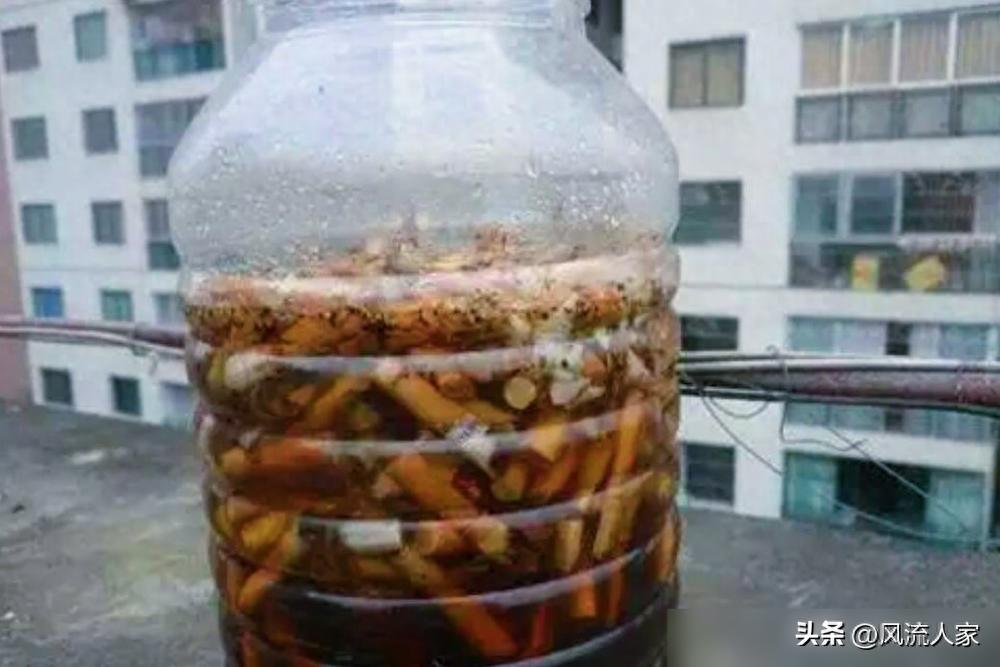 農藥甘藍代表什么_甘藍農藥多嗎_農藥甘藍可以打辣椒嗎