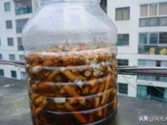 種植甘藍、白菜長蟲多，試試這三個方法吧，防治一體，效果可好了