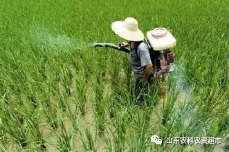 農(nóng)藥經(jīng)銷商好做嗎_農(nóng)藥經(jīng)銷商_農(nóng)藥經(jīng)銷商進(jìn)貨渠道