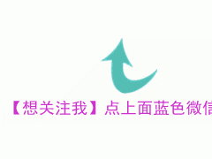 家庭里，養(yǎng)這4種“植物”很合適，能“吸甲醛”，讓家人更健康！