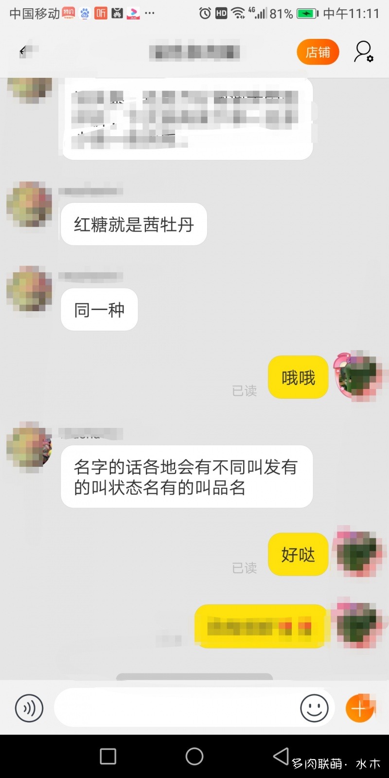 達(dá)摩寶珠多肉好養(yǎng)嗎_多肉植物達(dá)摩寶珠_達(dá)摩寶珠多肉太高怎么辦視頻